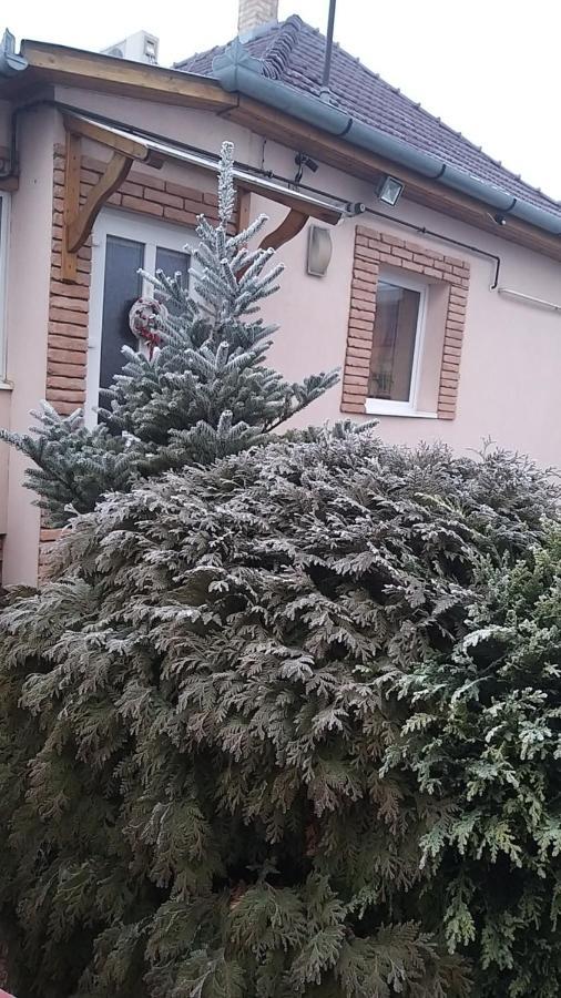 Édenkert Apartmanház Kisvárda Esterno foto