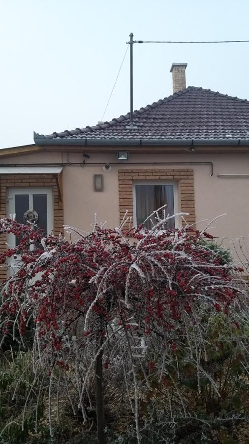 Édenkert Apartmanház Kisvárda Esterno foto